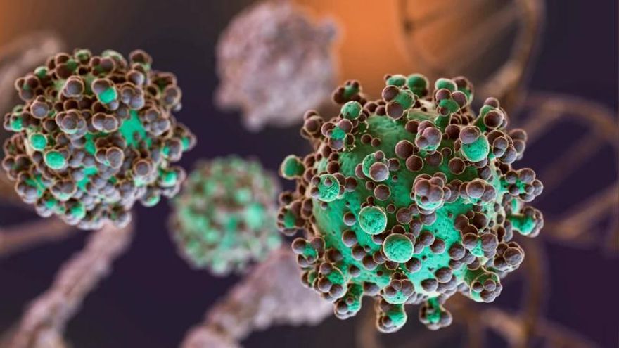 Hantavirus: el total de casos en la Argentina asciende a 102 en los últimos meses
