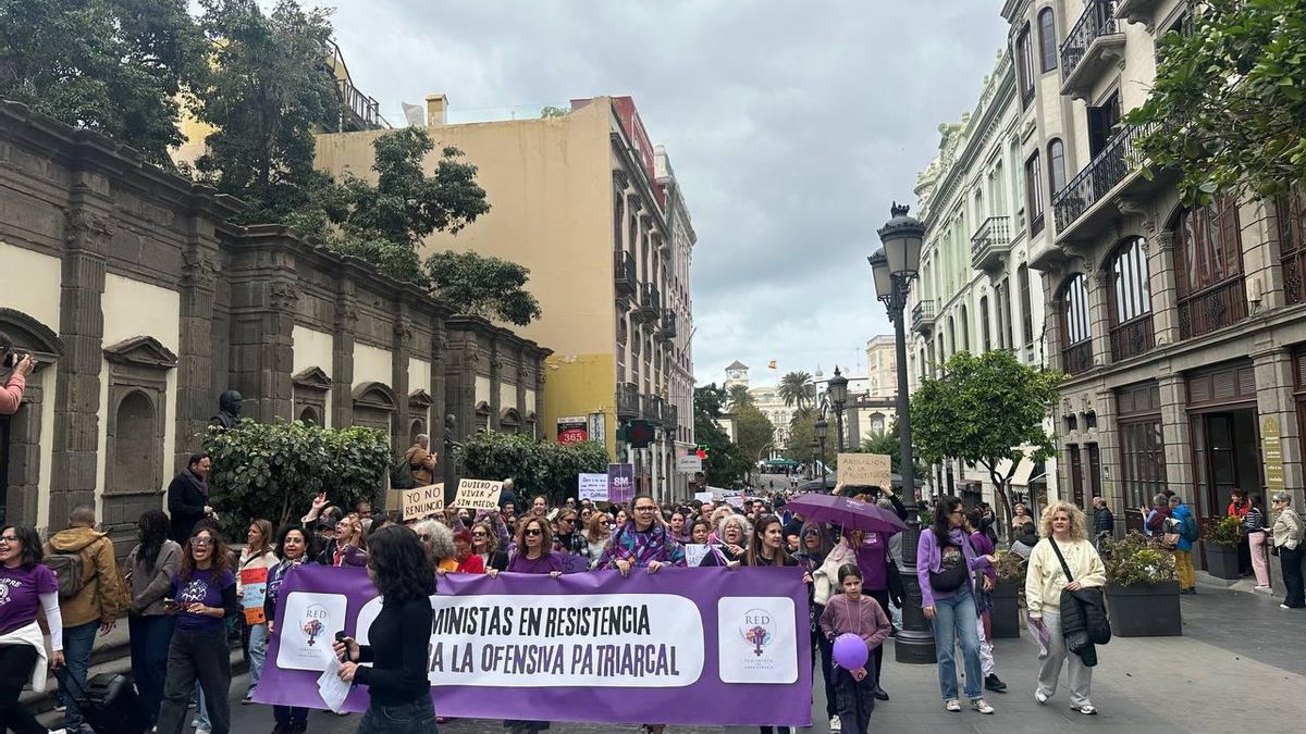 Miles de personas salen a la calle en Canarias contra la ofensiva patriarcal y fascista: “Resistencia. No vamos a retroceder”