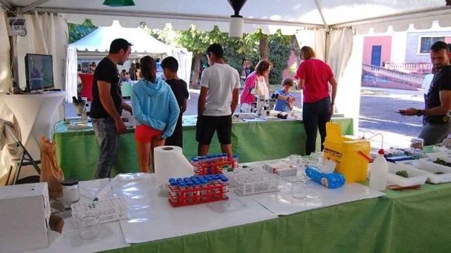 Los puestos divulgativos de la Feria de la Ciencia de la Universidad están en el patio del Albéitar. Foto: Uribe.
