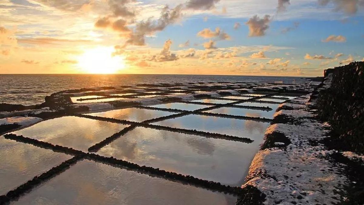 El Gobierno de Canarias promueve la defensa del patrimonio salinero en Fuencaliente  (Evento aplazado por la previsión de temporal de lluvia y viento como consecuencia del paso de la borrasca Claudia por Canarias)
