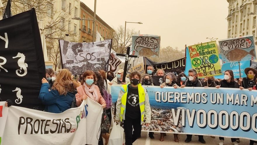 De objeto a sujeto: la defensa para otorgar derechos propios al Mar Menor llega al Congreso