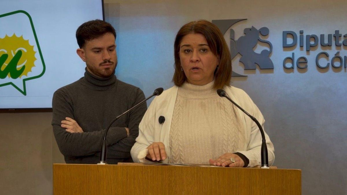 IU votará en contra de los presupuestos del PP en la Diputación