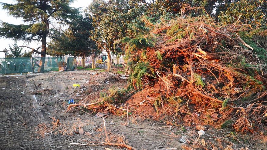 Árboles amontonados en La Cornisa.