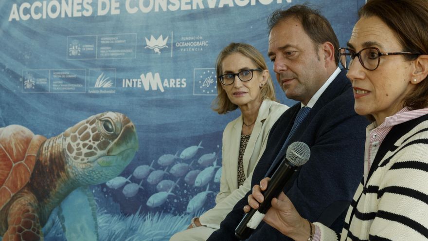 El alto cargo de Mazón citado por la jueza de la DANA se desdice: la Generalitat es la "sexta alternativa" para vigilar el Poyo