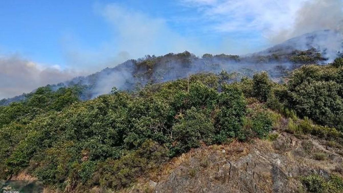 Imagen del incendio de Laballos, originado el viernes.