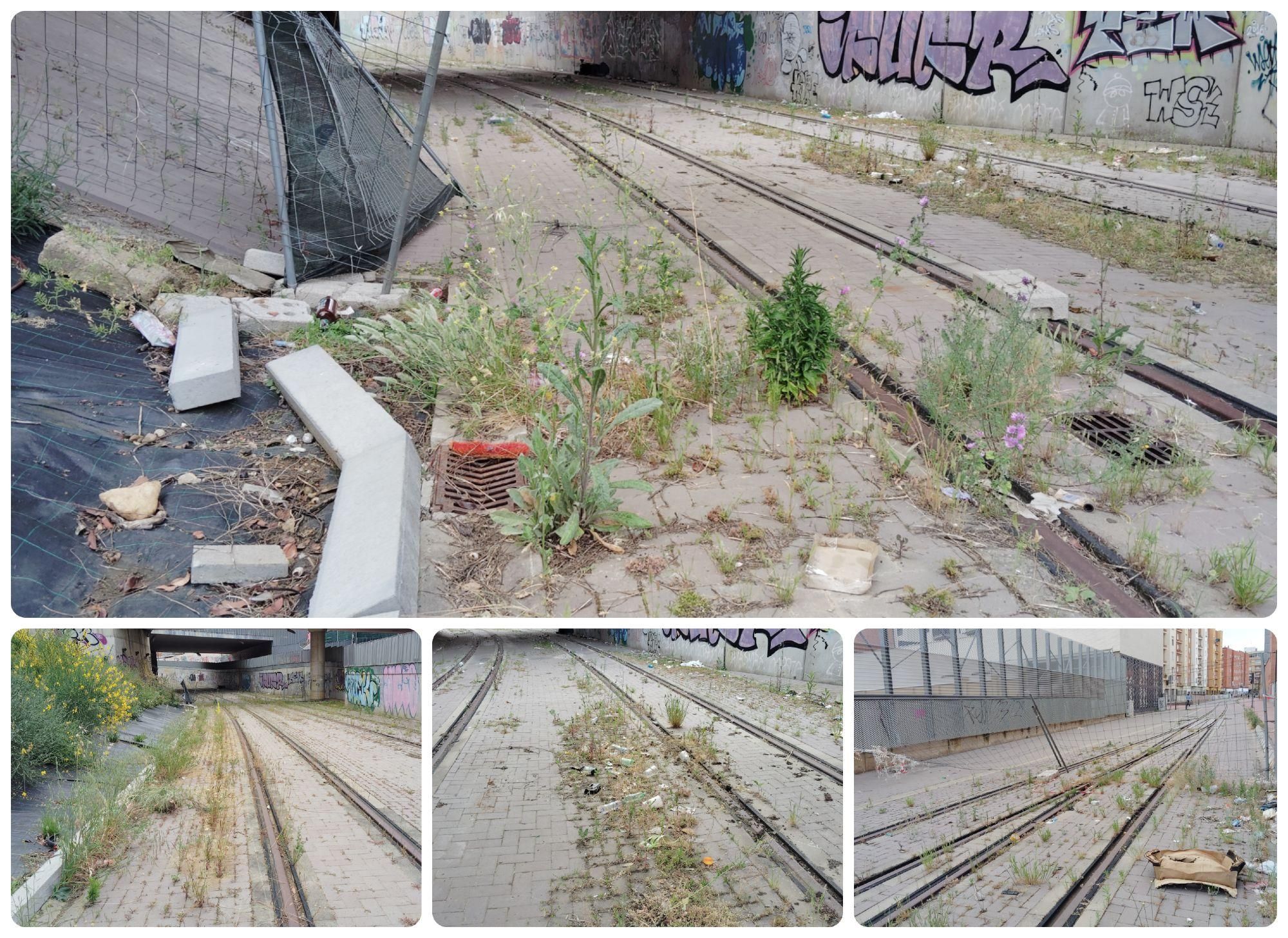 Estado del vial del Tranvía cerca de la estación de Matallana de Feve.