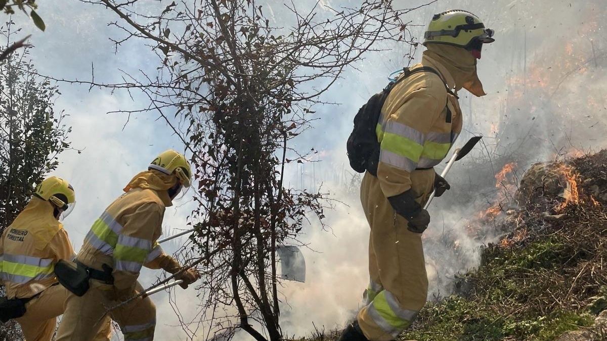 Cantabria ofrece al Estado medios humanos y materiales para colaborar en la extinción de los incendios de Madrid y Ávila