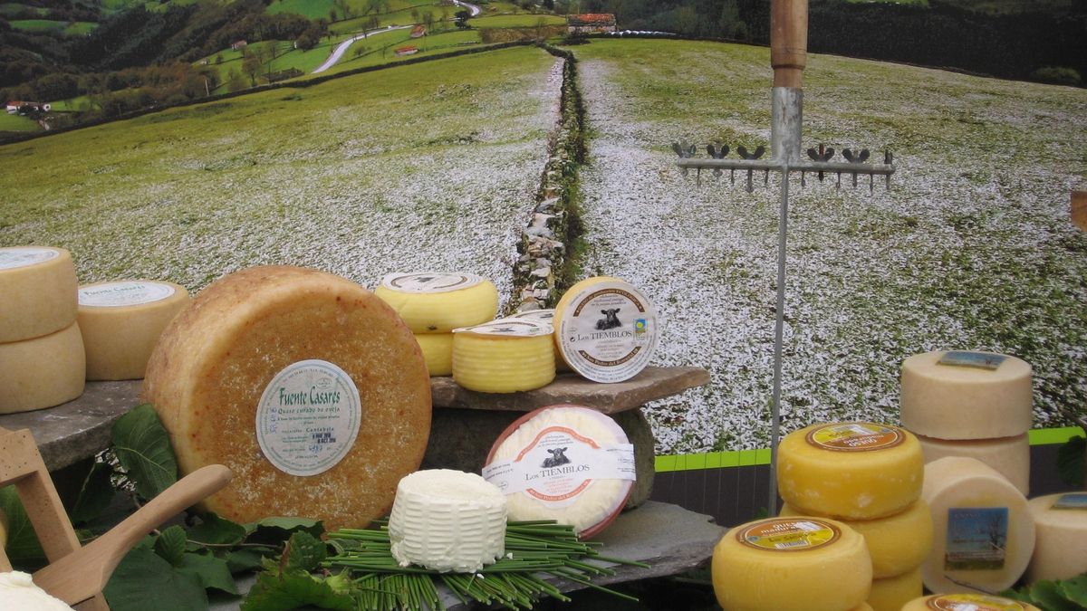 Quesos pasiegos.