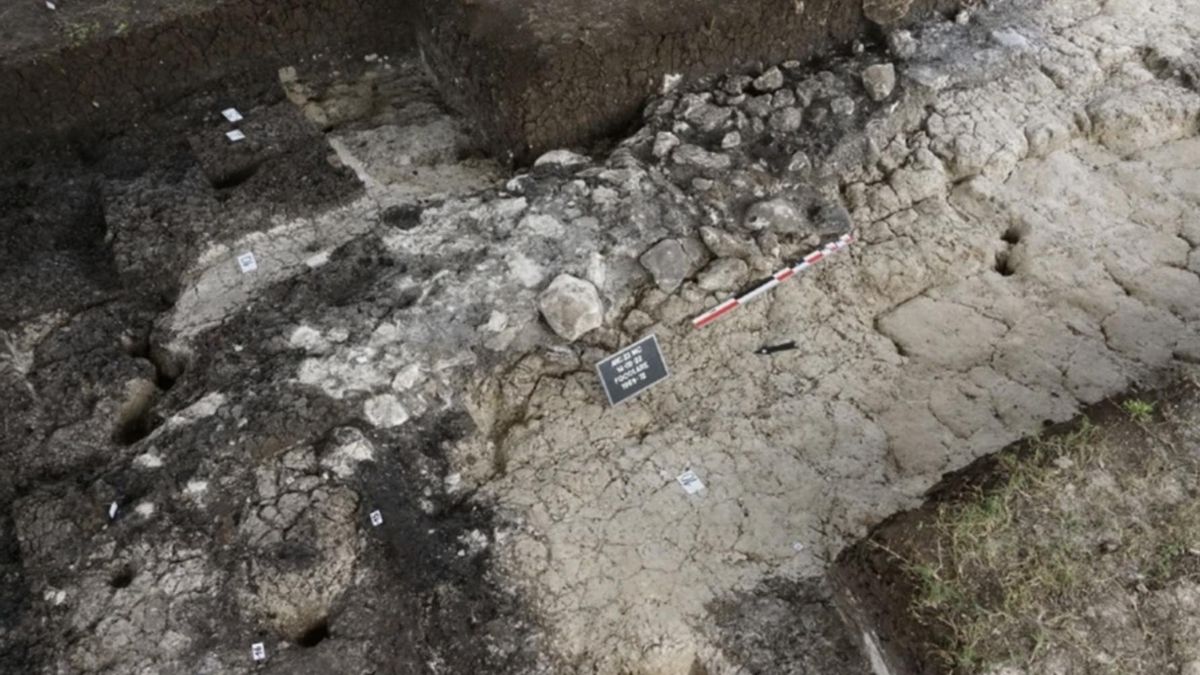 ¿Cocinaban y limpiaban los humanos del Neolítico? Un estudio microscópico asegura que también tiraban la basura