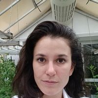 Beatriz Ramírez Serrano