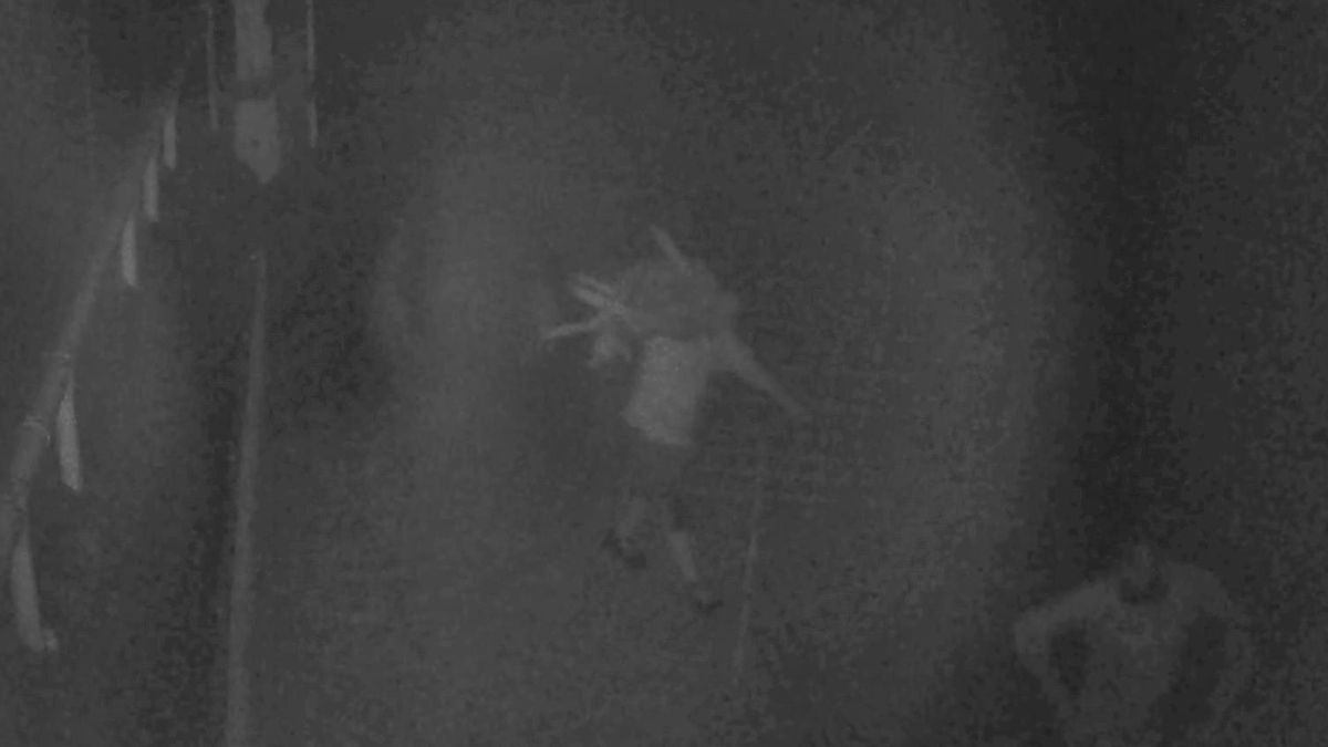 Roban 77 corderos en una explotación ganadera de La Rioja