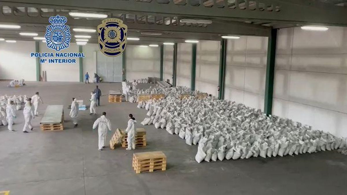 Sacos de carbón en los que se escondía la droga.