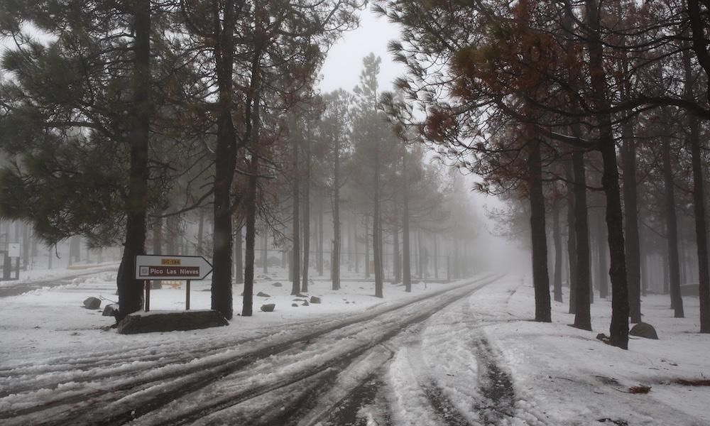 Cumbre grancanaria (31/01/2018)