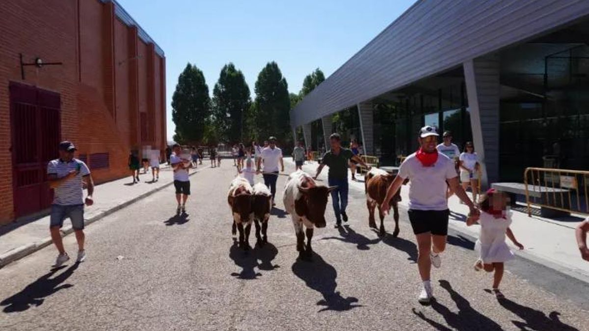 Menores corriendo con novillos: denuncian una “bueyada infantil” en el municipio toledano de Yeles