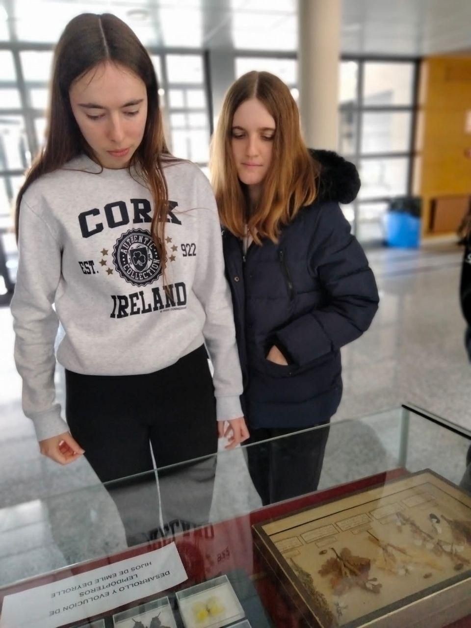 El Día de los Institutos Históricos, un momento para celebrar su inmenso patrimonio educativo