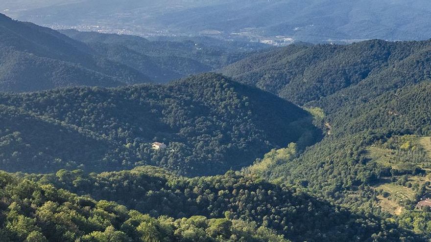 La ruta circular en el Pirineo catalán para disfrutar de la naturaleza sin pasar calor entre piscinas naturales y cascadas