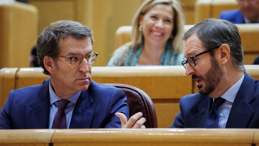 El presidente del PP, Alberto Núñez Feijóo (i), y el portavoz del Grupo Parlamentario Popular en el Senado, Javier Maroto.