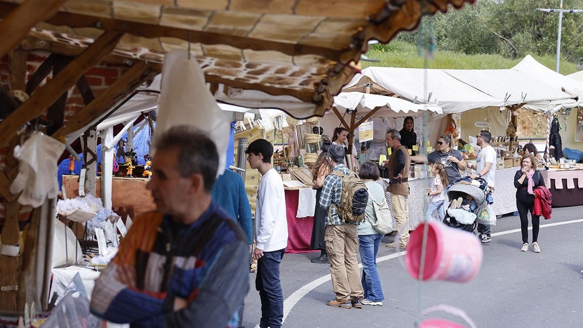 XV Zoco de la Encantá en Almodovar del Río