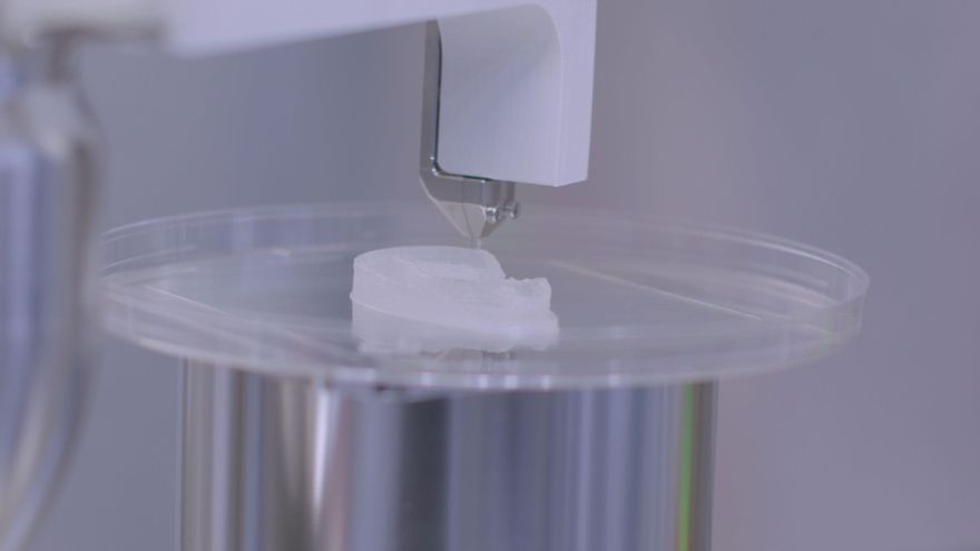 Momento en que la bioimpresora genera la estructura de la oreja