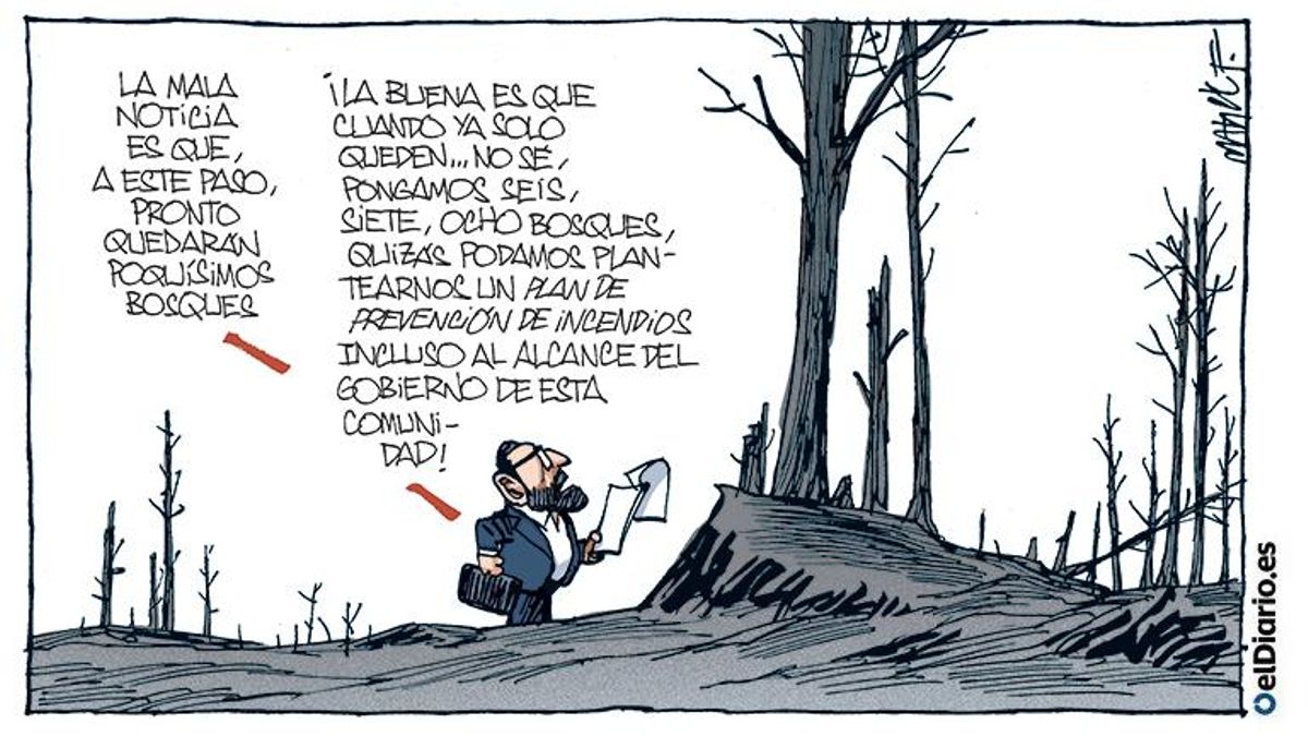 Bosques