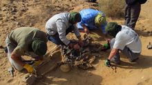 Aranzadi ha identificado a 8 saharauis desaparecidos por la represión marroquí / Foto: Sociedad de Ciencias Aranzadi-