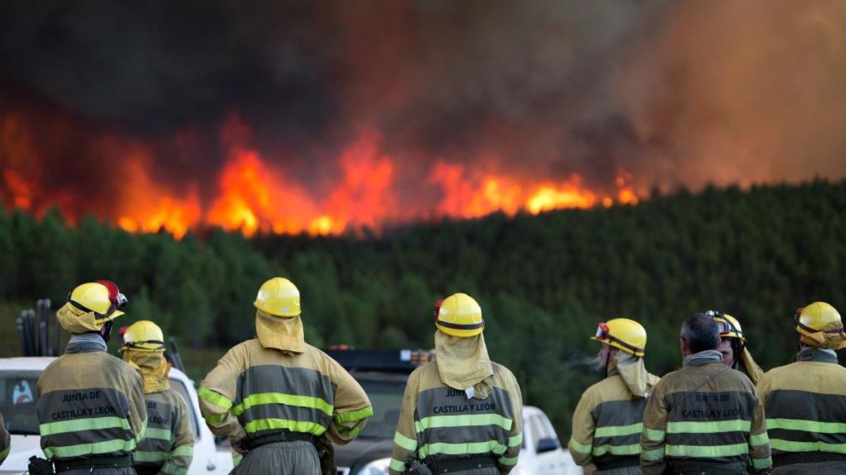 Brigadistas de la Junta de Castilla y León ante un terrible incendio forestal, archivo.