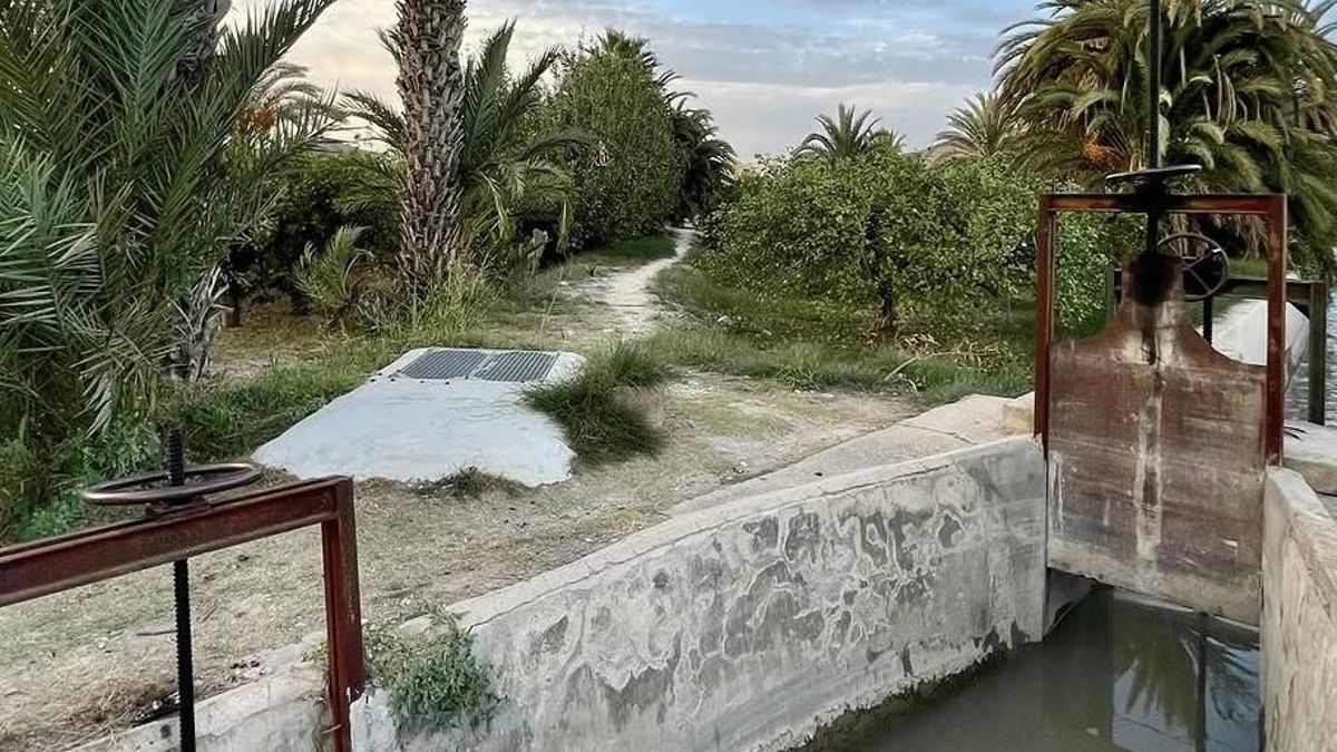 Recomendación para el verano