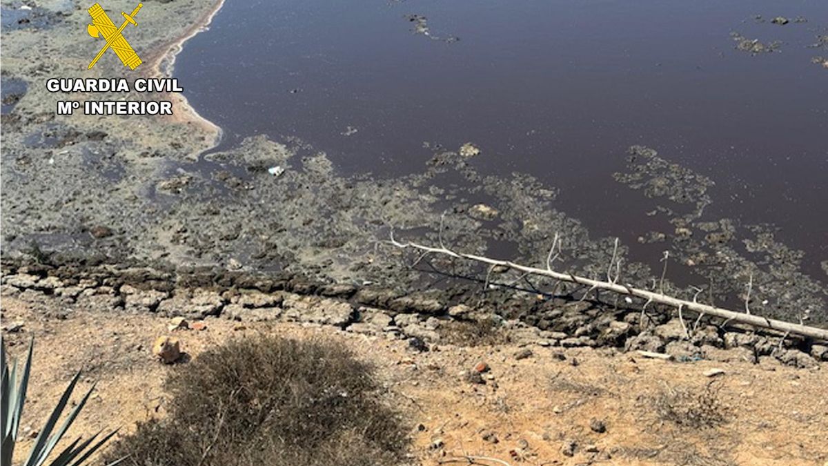 Operación Poga por el vertido ilegal de purines en ramblas de Murcia