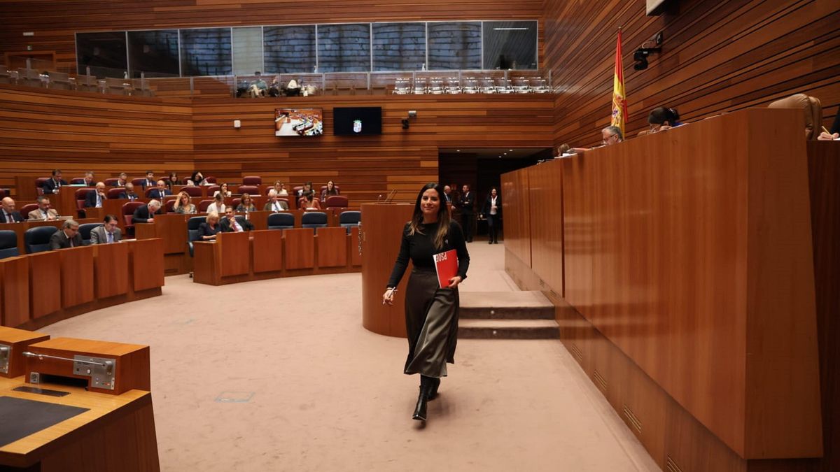 La procuradora socialista, ponente de la PN, Nuria Rubio, en el Pleno de las Cortes