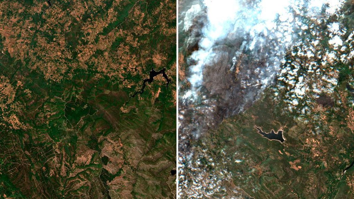 Comparacion de antes y después en el incendio de Chandrexa de Queixa (Ourense)