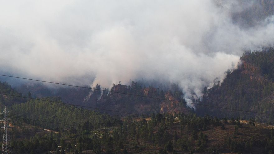 Incendio de Arico el pasado viernes 21 de mayo
