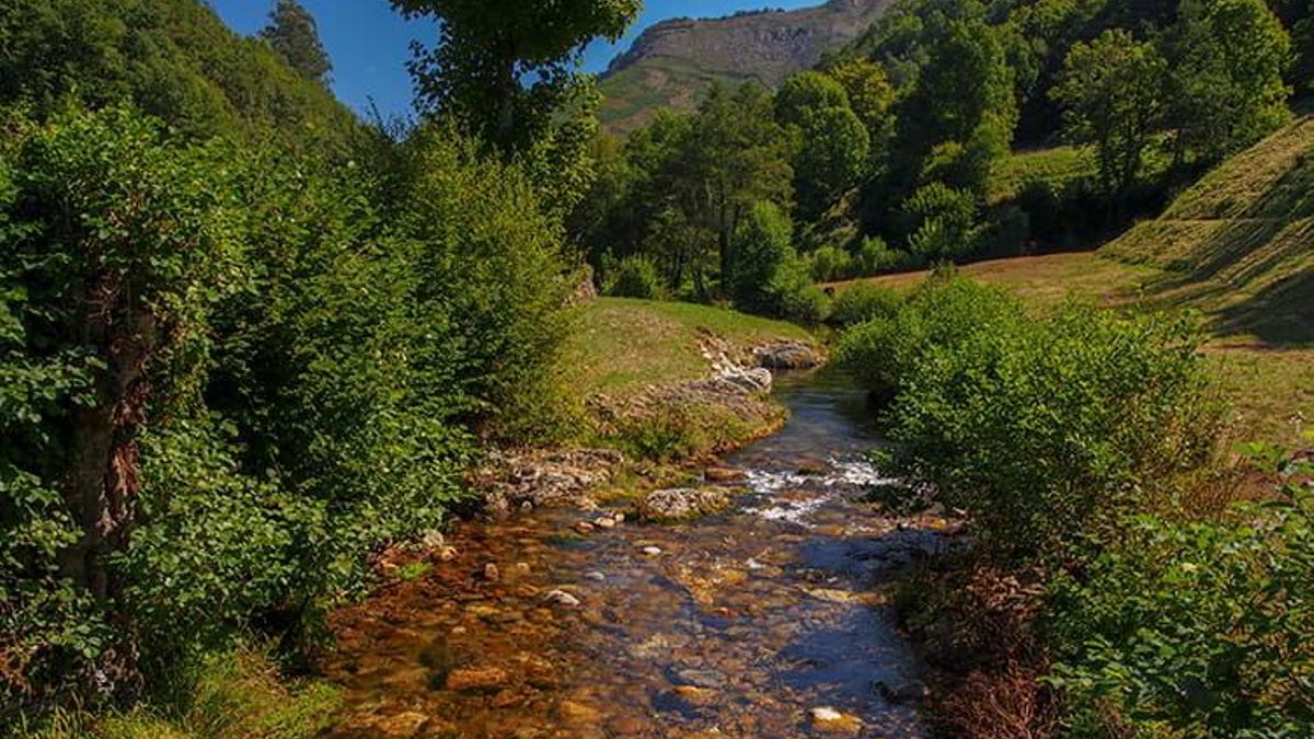 Parque Natural de las Fuentes del Narcea, Degaña e Ibias