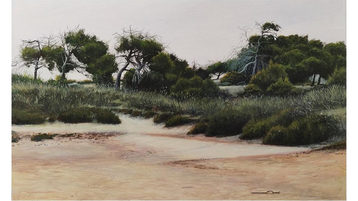 'Maresía', Saladares de San Pedro. Acrílico/lienzo, de Antonio Tapia