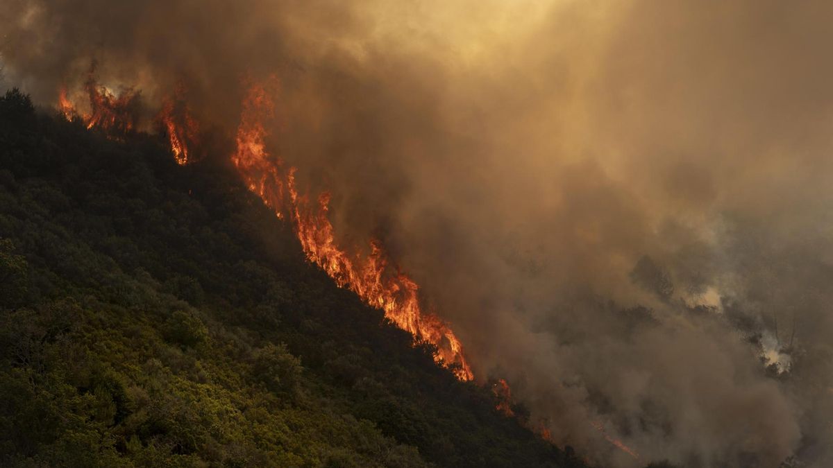 La UME se moviliza en Vilardevós (Ourense) por un incendio forestal que afecta ya a más de 400 hectáreas