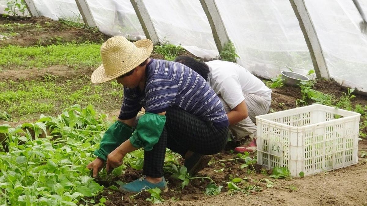 L'atur baixa un 6,2% al juny a les Balears