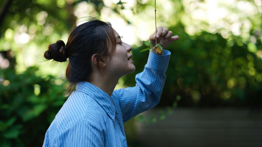Pérdida de olfato, ¿cómo se puede recuperar y entrenar?