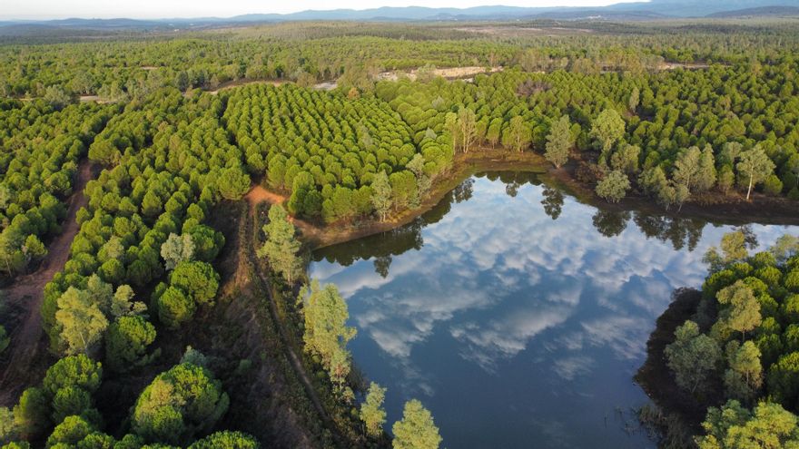 Un alto cargo de la Junta de Andalucía autoriza la balsa de residuos tóxicos de la minera en la que trabaja su hermano