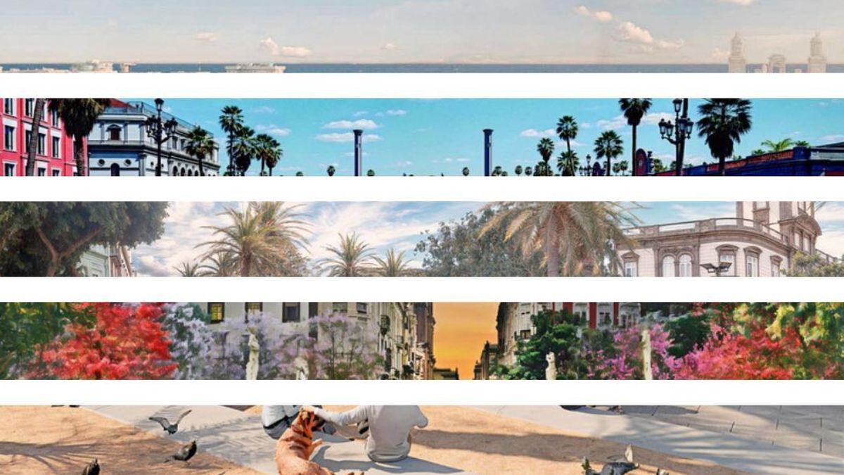 Collage con fragmentos de bocetos de los cinco proyectos.