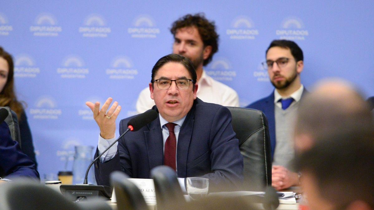 Alejandro Álvarez, subsecretario de Políticas Universitarias, en la comisión de Presupuesto