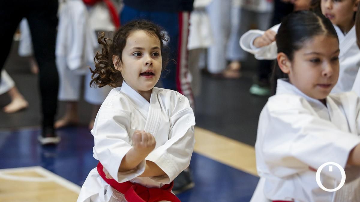 Campeonato de Andalucía Infantil y Juvenil de kárate