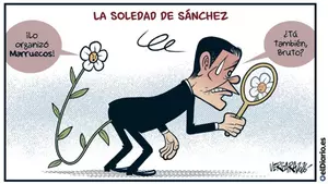 La soledad de Sánchez