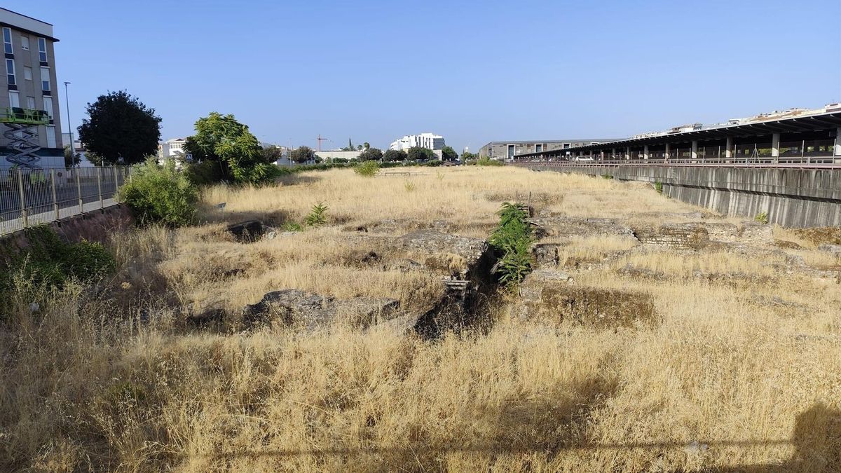 El PSOE de Córdoba lamenta el "estado deplorable" de conservación de yacimientos y monumentos