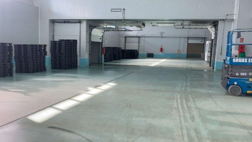 Galicia amarrada: lonjas vacías, cocineros sin pescado y un modelo de alimentación que depende del transporte