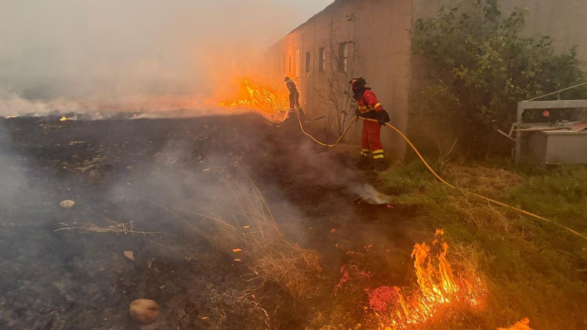 Efectivos de la UME intentando salvar de las llamas viviendas en la zona de Jamuz en León este verano.