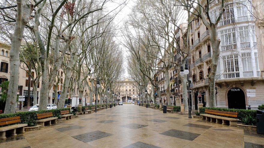 Archivo - El Paseo del Borne, en Palma.