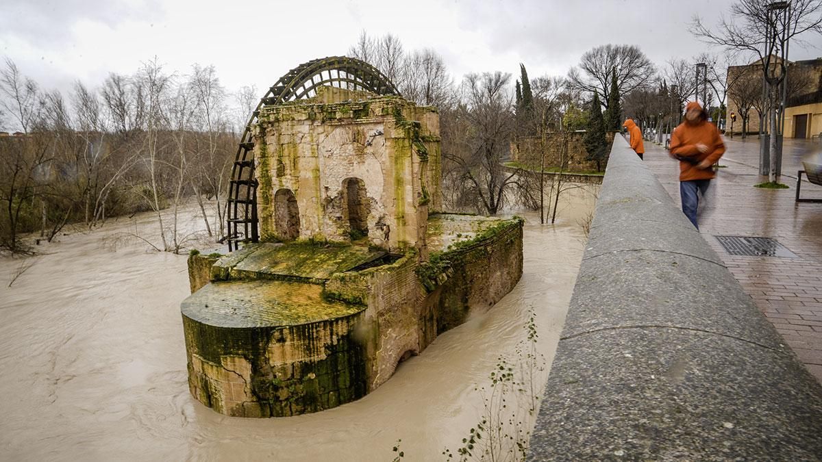 El cauce del río Guadalquivir sigue subiendo a su paso por Córdoba