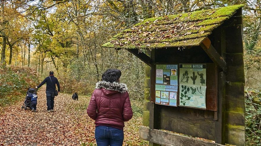 El Bosque de Orgi, en Navarra.