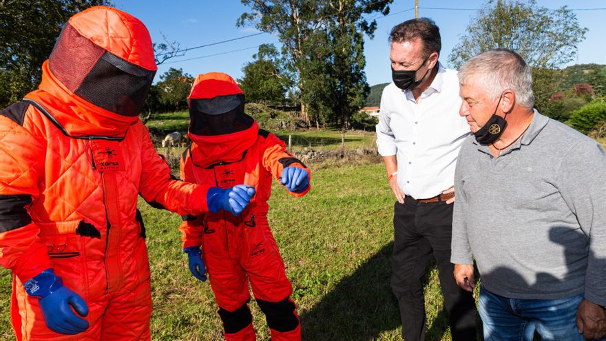 Ayuntamiento de Villaescusa. El consejero Guillermo Blanco visita las labores de retirada de un nido de avispa asiática.