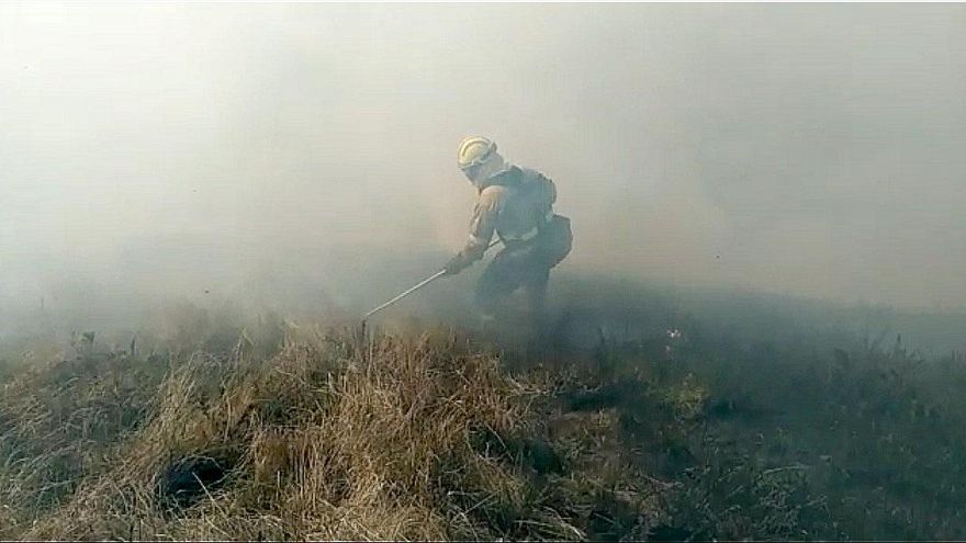 Archivo - Extinción incendio forestal en Cantabria.-ARCHIVO
