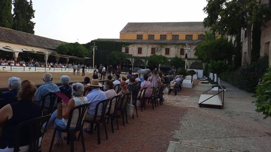 El Ayuntamiento ultima la "cesión directa" de Caballerizas a Córdoba Ecuestre